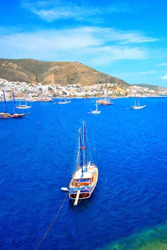 Sailing Tours